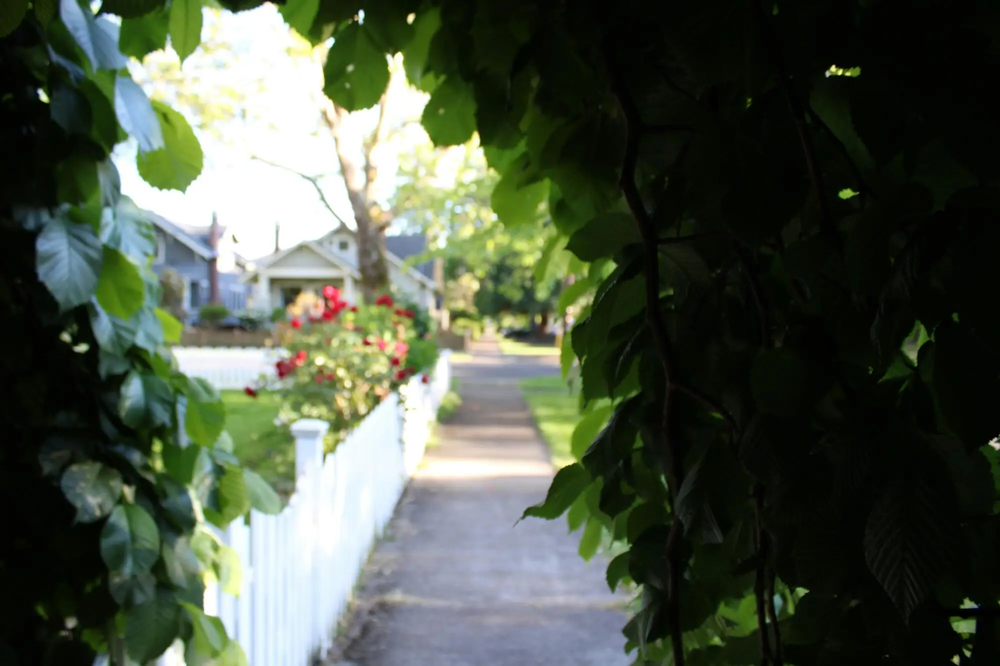 Home Owners Association Property Managers: Dedicated Professionals for HOA Success in Lebanon, OH